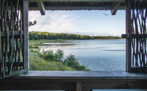 Stebejimo bokst (3)_1_4.jpg